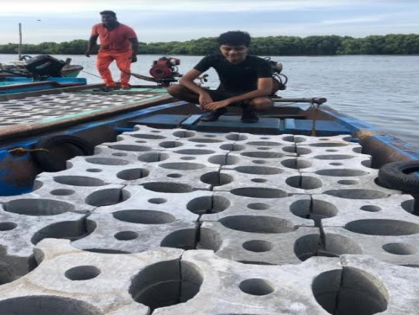  17-Year-old, Siddharth Pillai's Patented Modular Artificial Reef to Revitalize Aquatic Life 