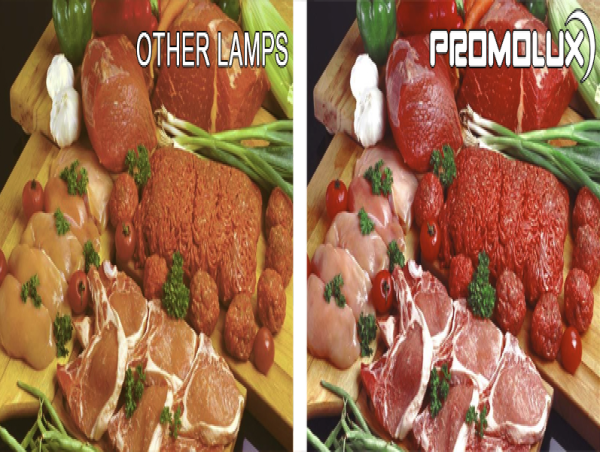 NEW D•Tube LED: Enhancing Supermarket Cooler and Freezer Lighting | Grocery Display Case Lighting