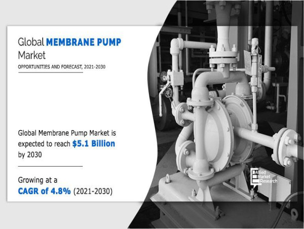 Membrane Pump Market to Witness Exponential Growth by 2030 - SEKO S.P.A, INGERSOLL RAND, XYLEM, EMEC SRL, etc.