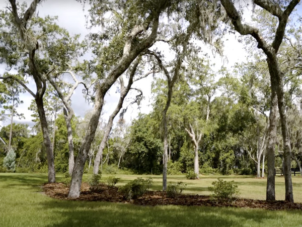  New Exmark Video Demonstrates How To Landscape Around Trees 