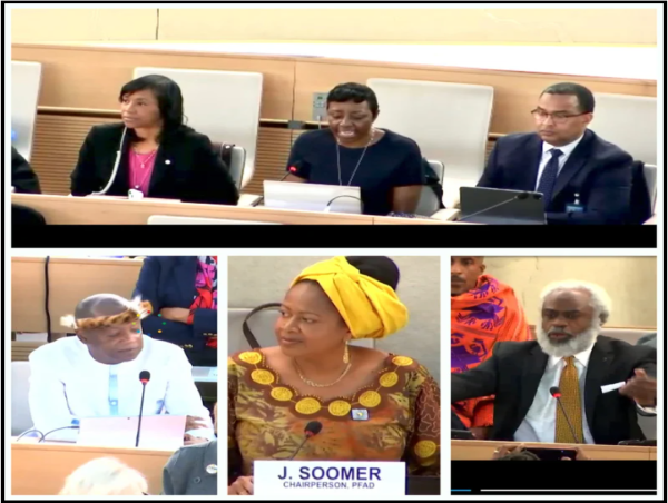 United Nations 3rd Session of the Permanent Forum on People of African Descent