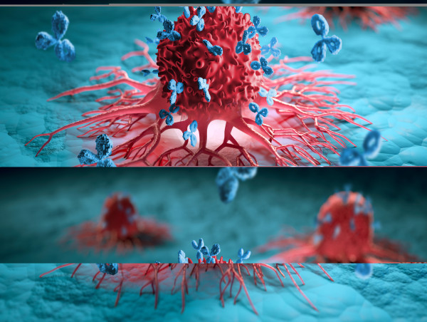Proteogenix And Cizzle Biotechnology Collaboration Forges New Paths In Early Detection Of Lung Cancer Through Innovative Antibody Development