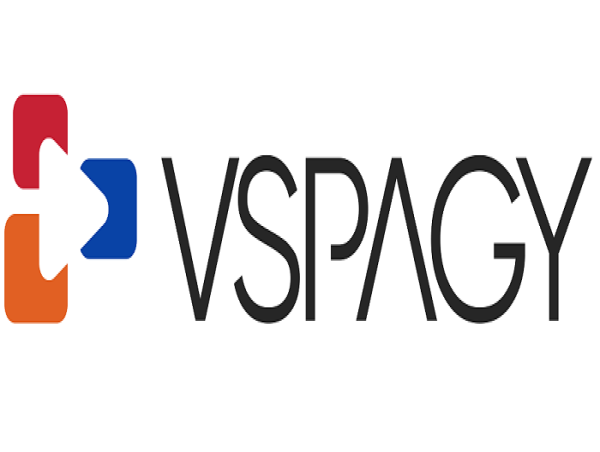 VSPAGY Bags Two Golds and One Bronze at the Prestigious e4m DigiOne Awards