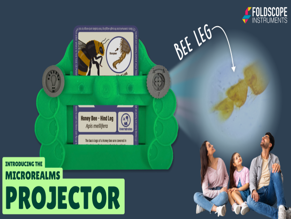Foldscope Instruments Launches Their Newest Microscope: The MicroRealms Projector