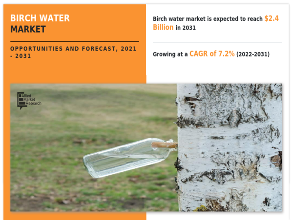  Birch Water Market to Hit $2.4 Bn by 2031 Grows at a CAGR of 7.2% 