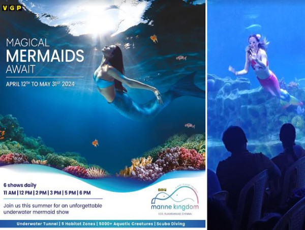  VGP Marine Kingdom Brings First-Ever Mermaid Show to Chennai 