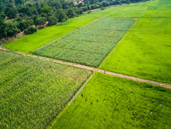  Changes in Farm and Food Production Can Cut Greenhouse Emissions by a Third 