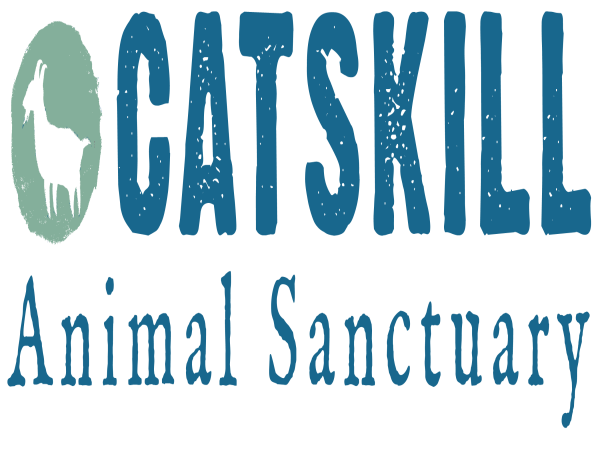 Leading Animal Sanctuary Launches 401(Hay): Retirement Plan for Animals Ensures Lifelong Care