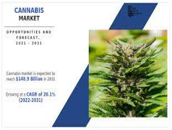  Cannabis Market Growing at 20.1% CAGR to Hit USD 148.9 Billion by 2031 
