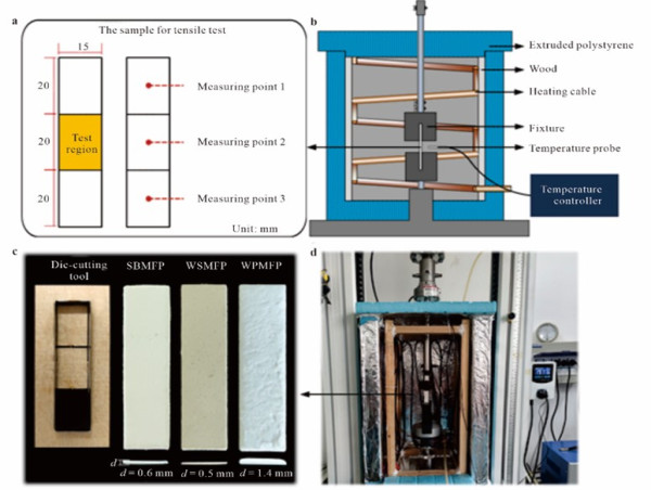 Understanding the Impact of Environmental Factors on Molded Fiber Products: New Insights