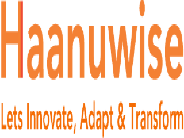 Haanuwise: Cultivating Sustainable Business Success Through Partnership
