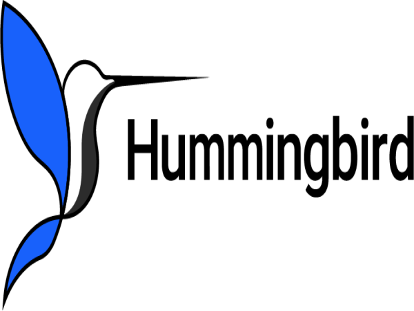 ps Hummingbird Names Greg Gant as CEO to Fuel AI-driven Growth