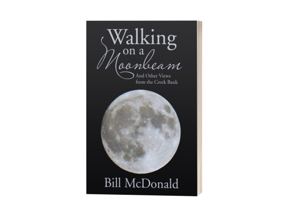 SELF-DISCOVERY, INTROSPECTION, AND PERSONAL GROWTH TAKE CENTER STAGE IN THE MAPLE STAPLE SHELF’S LATEST SELECTION