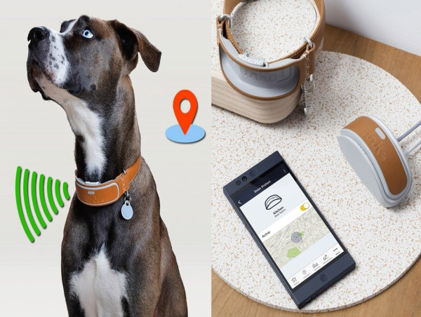 Smart Dog Collar Market SWOT Analysis by Leading Key Players: Garmin, Whistle (Tagg), FitBark