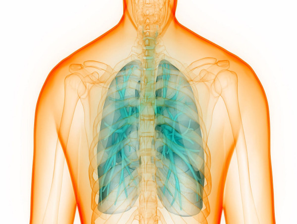 Alpha 1 Lung Disease Market Recent Trends and Developments Analysis | Scope of Current and Future Industry 2031|