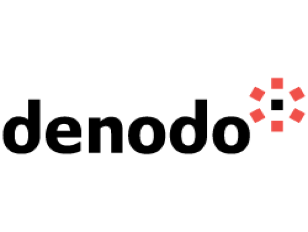 Denodo Redoubles Focus on Energy and Utilities
