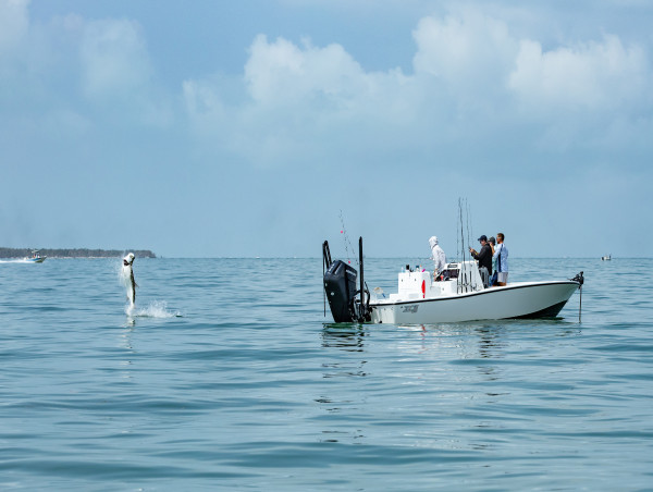 South Seas Celebrates Successful Tarpon Tournament