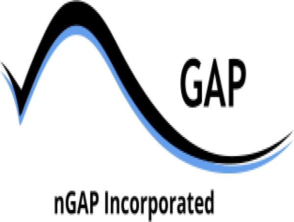  nGAP Releases Another Acquisition Tool to Improve US Navy Fleet Readiness 