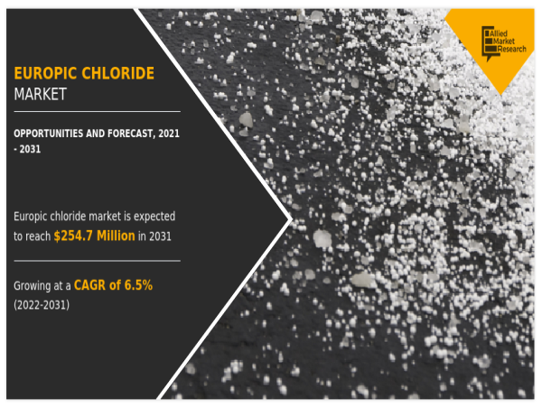 Europic Chloride Market Analysis: Current Landscape and Future Outlook