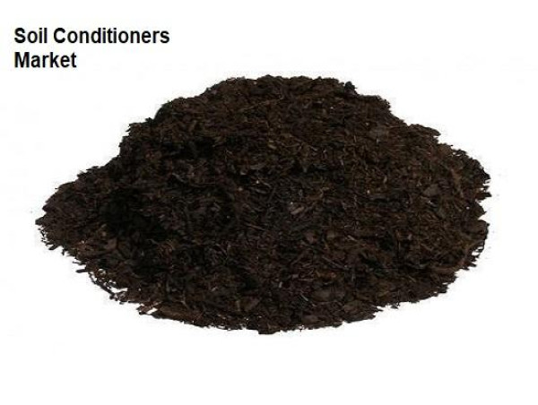 Soil Conditioner Market Forecast: Expected Growth and Trends in Coming Years