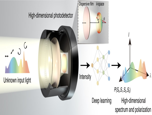  Comprehensive Detection of Light: Dispersion-assisted Photodetector Deciphering High-dimensional Light 