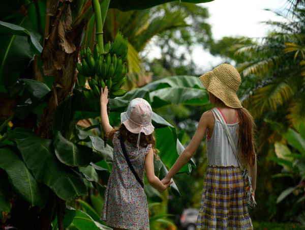 Ecotourism Market to Increase At a CAGR of 11.7% to Reach a Valuation of $829.8 Billion by 2035