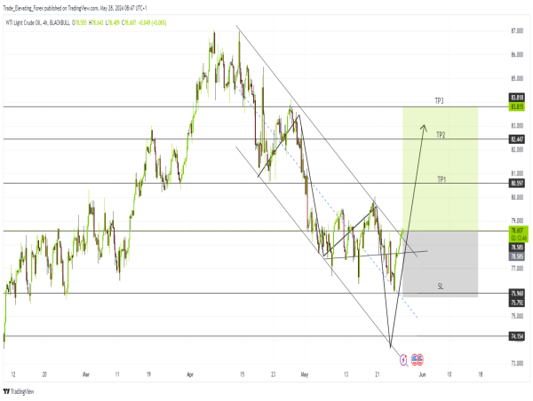  Long WTI: bullish flag breakout and OPEC supply cuts signal potential upward rally 