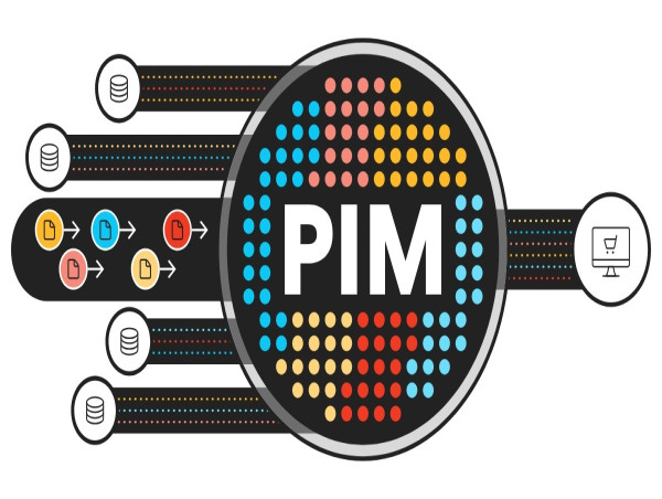  Product Information Management Market Attractive Growth Proposition Seen in 2024: SAP SE, Catsy, inRiver AB 