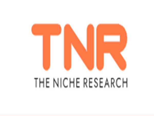  Growing Social Media Usage, Rising Internet Penetration to Drive the Global Social Commerce Market; says TNR 