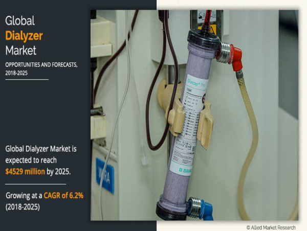 Dialyzer Market Size, Top Companies, Share, Growth And Forecast 2033
