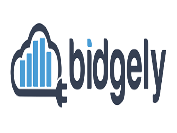 Bihar Partners with Bidgely to Reduce Energy Theft and Revenue Leakage Through AI-Powered Data Analytics