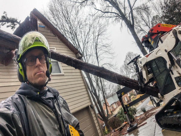Misconceptions About Property Insurance Coverage for Trees on Houses: Author/Arborist Mark Russell Sheds Light on Myths