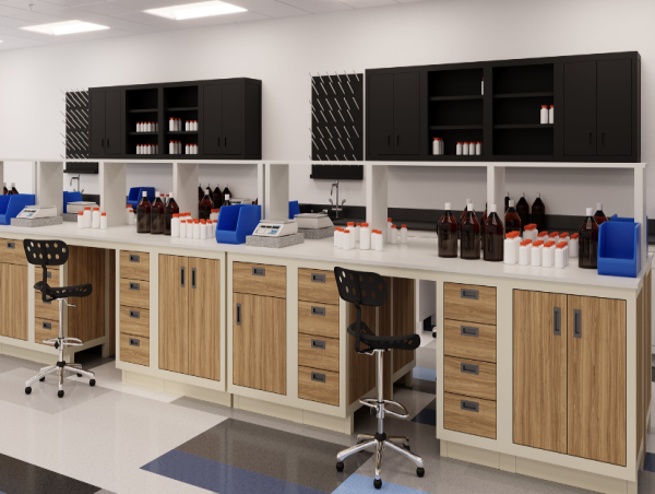 Evolution of Lab at NeoCon 2024