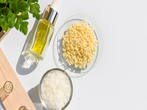 Candelilla Wax Market Opportunities 2024-2030 | Strahl & Pitsch, Koster Keunen, Norevo
