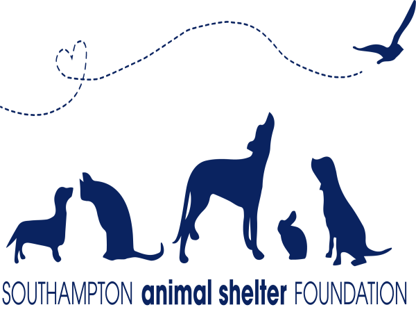 Southampton Animal Shelter Foundation to Honor Cathy Bissell with Award at the 2024 Annual Unconditional Love Gala