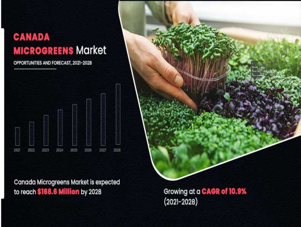 Canada Microgreens Market to Reach $168.6 Million by 2028, Growing at 10.9% CAGR