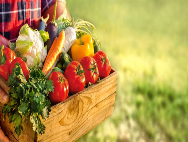 Organic Fruits And Vegetables Market to Reach $55.86 Bn, Globally, by 2027 at 7.9% CAGR