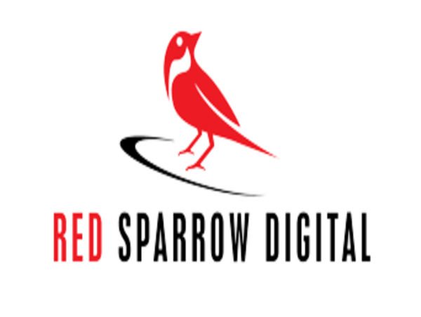  Red Sparrow Digital Building Strong Online Brand Presence for Businesses 