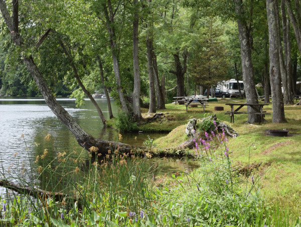  The Freedom Group Acquires Ross Hill RV Park, Announces Exciting Enhancements 