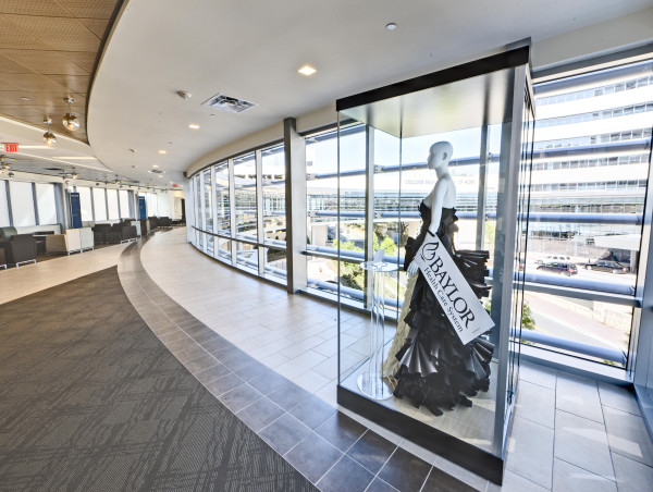 Healthcare Art Consulting & Quality Art House (HAC & QAH) Refocus on Expert Project Management