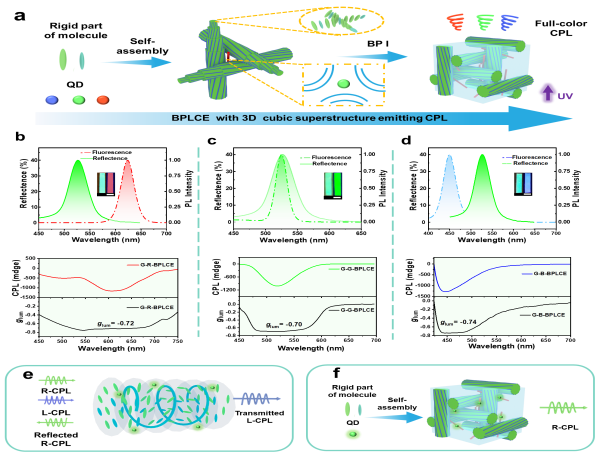When QDs Meet BPLCEs: Visualized Full-Color and Mechanically-Switchable CPL