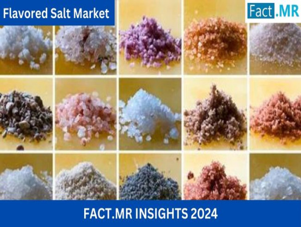  Global Flavored Salt Market to Surge to US$ 6.4 Billion by 2034, Driven by 6.1% CAGR 