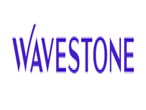  Wavestone : Declaration According To Article 223 16 (Amf) 