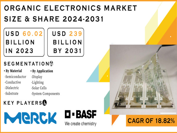  Organic Electronics Market Size to Cross USD 239 Billion by 2031, Due to Demand for Flexible and Lightweight Devices 