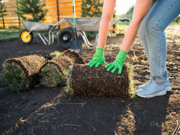 Glory One Solutions Enhances Local Homeowners' Yards with Professional Mulch Installation Services