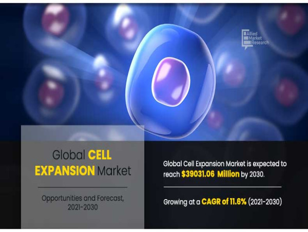 Cell Expansion Market Study: Insights and Future Outlook by 2032 | CAGR 11.6%