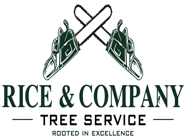  Low Cost Tree Removal Service in Anchorage, Alaska 