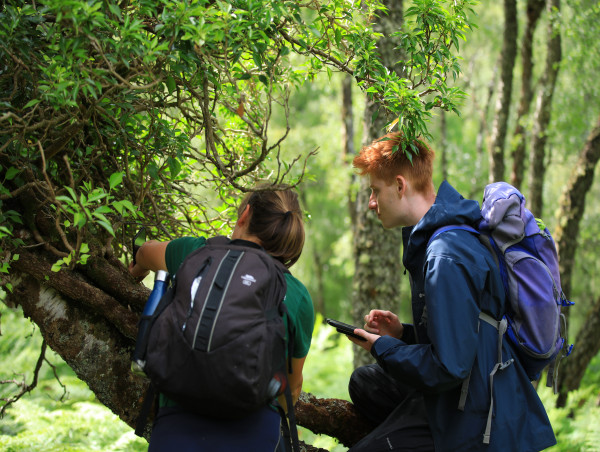  412% Increase In Jobs At Scotland Rewilding Sites, Research Shows 