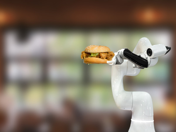  McDonald’s to end AI drive-through amid increasing order errors 