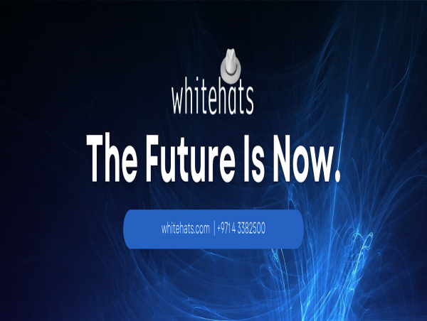  Whitehats and PJP Investments Group LLC Collaborate for Enhanced Cybersecurity and Office Efficiency 